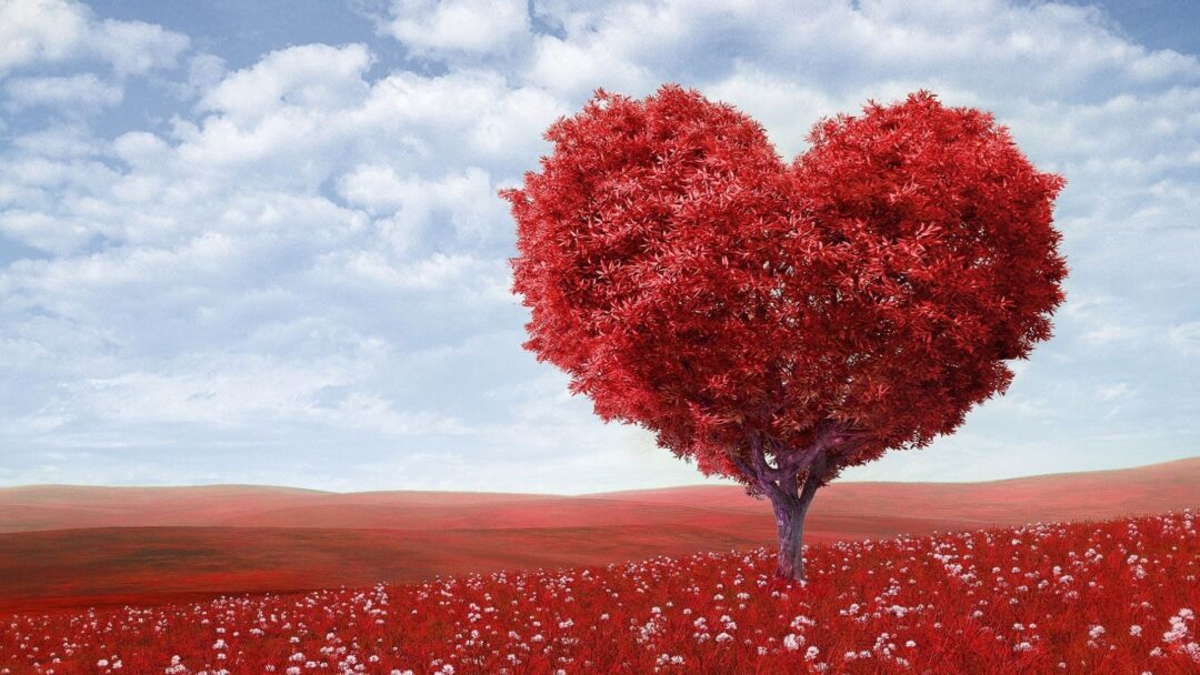 Love can heal Karolina